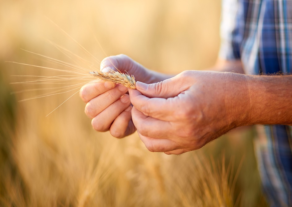 Bei uns bekommst Du nur die besten Bio-Müsli-Zutaten aus kontrolliert ökologischem Landbau